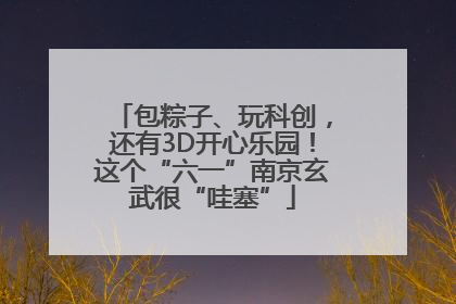 包粽子、玩科创，还有3D开心乐园！这个“六一”南京玄武很“哇塞”