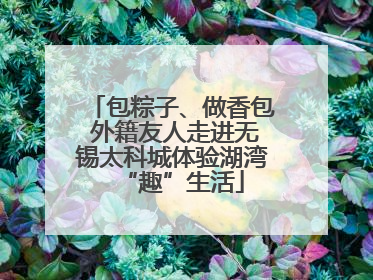 包粽子、做香包 外籍友人走进无锡太科城体验湖湾“趣”生活