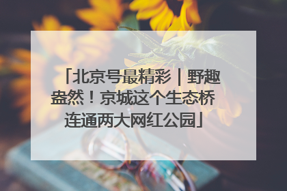 北京号最精彩｜野趣盎然！京城这个生态桥连通两大网红公园