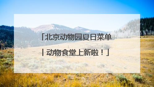 北京动物园夏日菜单丨动物食堂上新啦！