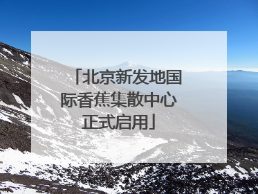 北京新发地国际香蕉集散中心正式启用