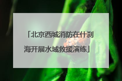 北京西城消防在什刹海开展水域救援演练