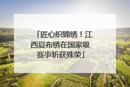 匠心织锦绣！江西夏布绣在国家级赛事斩获殊荣
