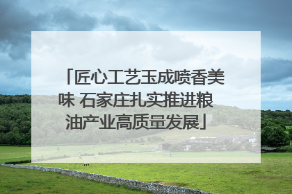 匠心工艺玉成喷香美味 石家庄扎实推进粮油产业高质量发展