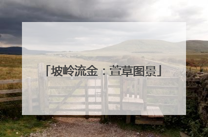 坡岭流金：萱草图景