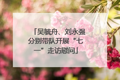 吴毓舟、刘永强分别带队开展“七一”走访慰问
