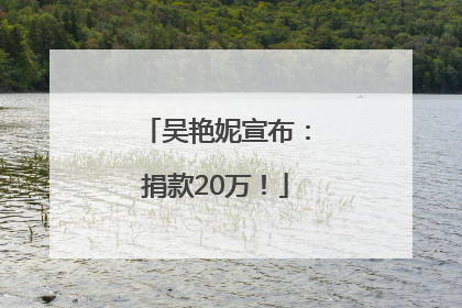 吴艳妮宣布：捐款20万！