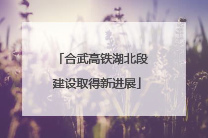 合武高铁湖北段建设取得新进展