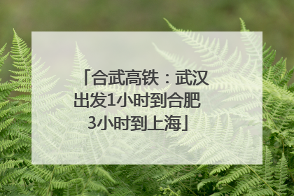 合武高铁：武汉出发1小时到合肥3小时到上海