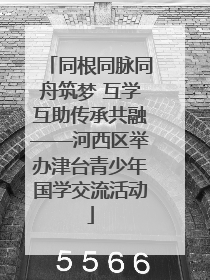 同根同脉同舟筑梦 互学互助传承共融——河西区举办津台青少年国学交流活动