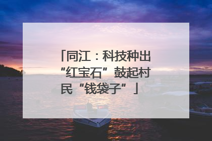 同江：科技种出“红宝石”鼓起村民“钱袋子”