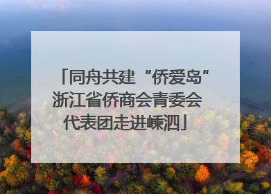 同舟共建“侨爱岛” 浙江省侨商会青委会代表团走进嵊泗