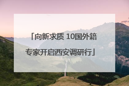 向新求质 10国外籍专家开启西安调研行