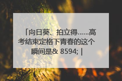 向日葵、拍立得……高考结束定格下青春的这个瞬间是& 8594;｜2025四川高考