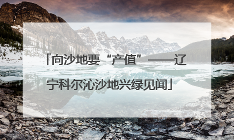 向沙地要“产值”——辽宁科尔沁沙地兴绿见闻