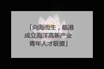 向海而生，临港成立海洋高新产业青年人才联盟