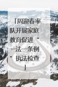 周迎春率队开展家庭教育促进“一法一条例”执法检查