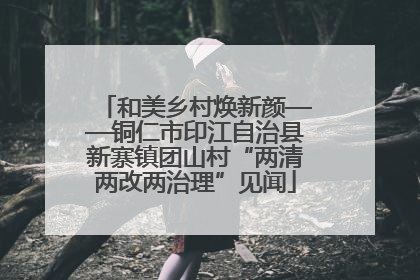 和美乡村焕新颜——铜仁市印江自治县新寨镇团山村“两清两改两治理”见闻