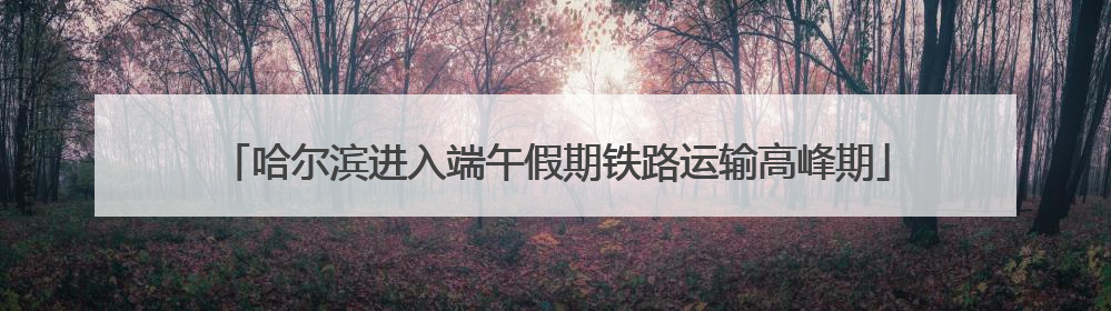 哈尔滨进入端午假期铁路运输高峰期