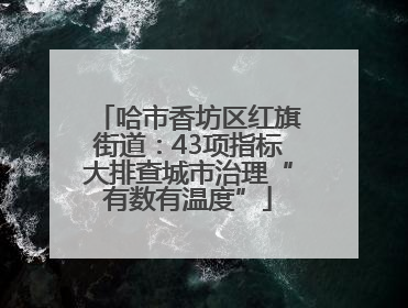 哈市香坊区红旗街道：43项指标大排查城市治理“有数有温度”