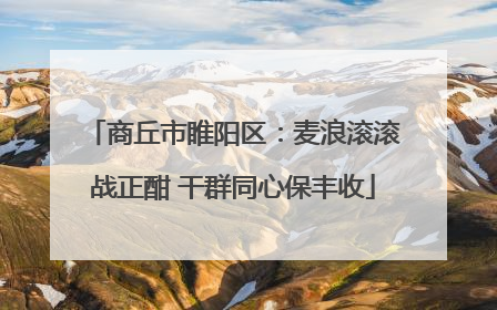 商丘市睢阳区：麦浪滚滚战正酣 干群同心保丰收