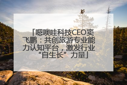 嗯噢哇科技CEO窦飞鹏：共创旅游专业能力认知平台，激发行业“自生长”力量