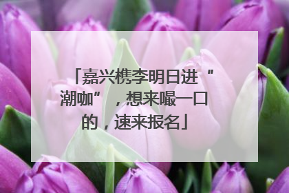 嘉兴槜李明日进“潮咖”，想来嘬一口的，速来报名