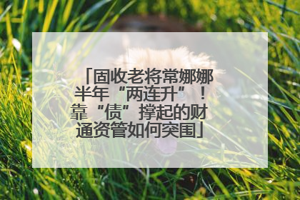 固收老将常娜娜半年“两连升”！靠“债”撑起的财通资管如何突围