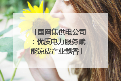 国网焦供电公司：优质电力服务赋能凉皮产业飘香