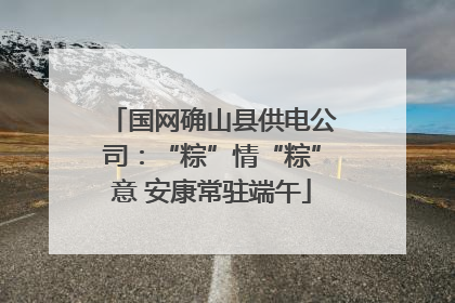 国网确山县供电公司：“粽”情“粽”意 安康常驻端午