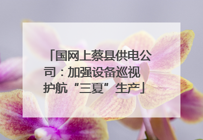 国网上蔡县供电公司：加强设备巡视 护航“三夏”生产
