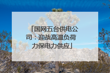 国网五台供电公司：迎战高温负荷 力保电力供应