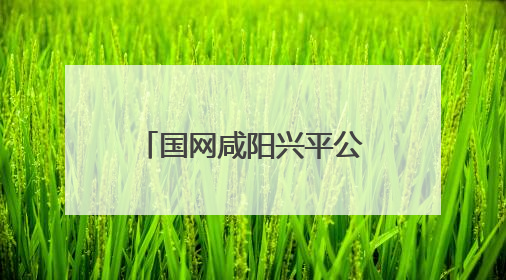 国网咸阳兴平公司全面打好抗旱保供“组合拳”