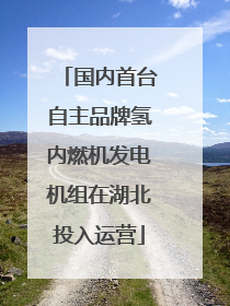 国内首台自主品牌氢内燃机发电机组在湖北投入运营