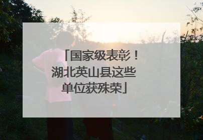 国家级表彰！湖北英山县这些单位获殊荣