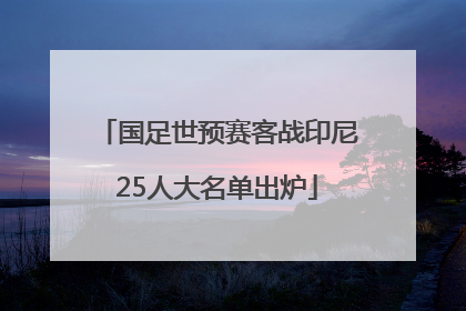 国足世预赛客战印尼25人大名单出炉