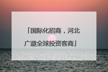 国际化招商，河北广邀全球投资客商