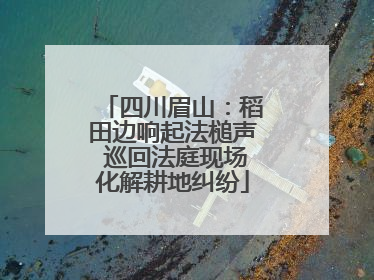 四川眉山：稻田边响起法槌声 巡回法庭现场化解耕地纠纷