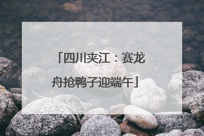 四川夹江：赛龙舟抢鸭子迎端午