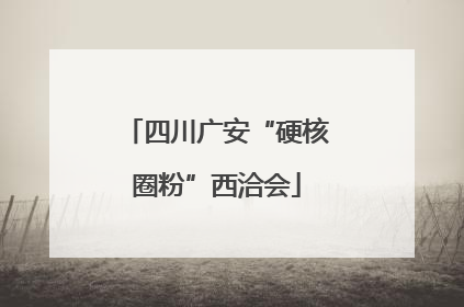 四川广安“硬核圈粉”西洽会