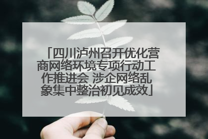 四川泸州召开优化营商网络环境专项行动工作推进会 涉企网络乱象集中整治初见成效
