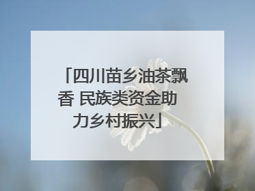 四川苗乡油茶飘香 民族类资金助力乡村振兴