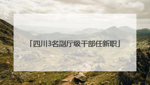四川3名副厅级干部任新职