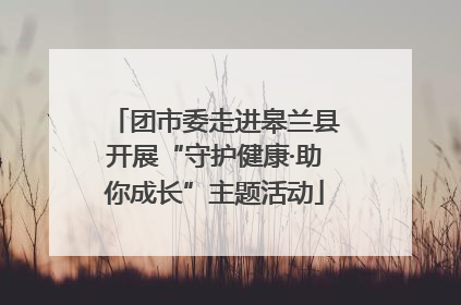 团市委走进皋兰县开展“守护健康·助你成长”主题活动