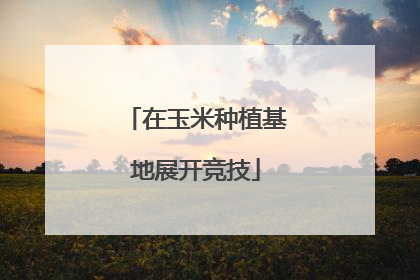 在玉米种植基地展开竞技