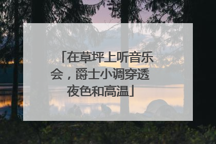 在草坪上听音乐会，爵士小调穿透夜色和高温