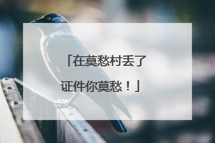 在莫愁村丢了证件你莫愁！