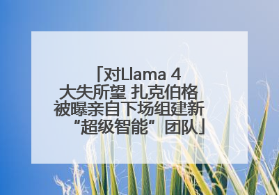 对Llama 4大失所望 扎克伯格被曝亲自下场组建新“超级智能”团队