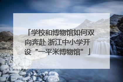 学校和博物馆如何双向奔赴 浙江中小学开设“一平米博物馆”