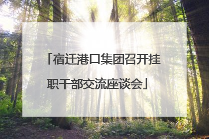 宿迁港口集团召开挂职干部交流座谈会